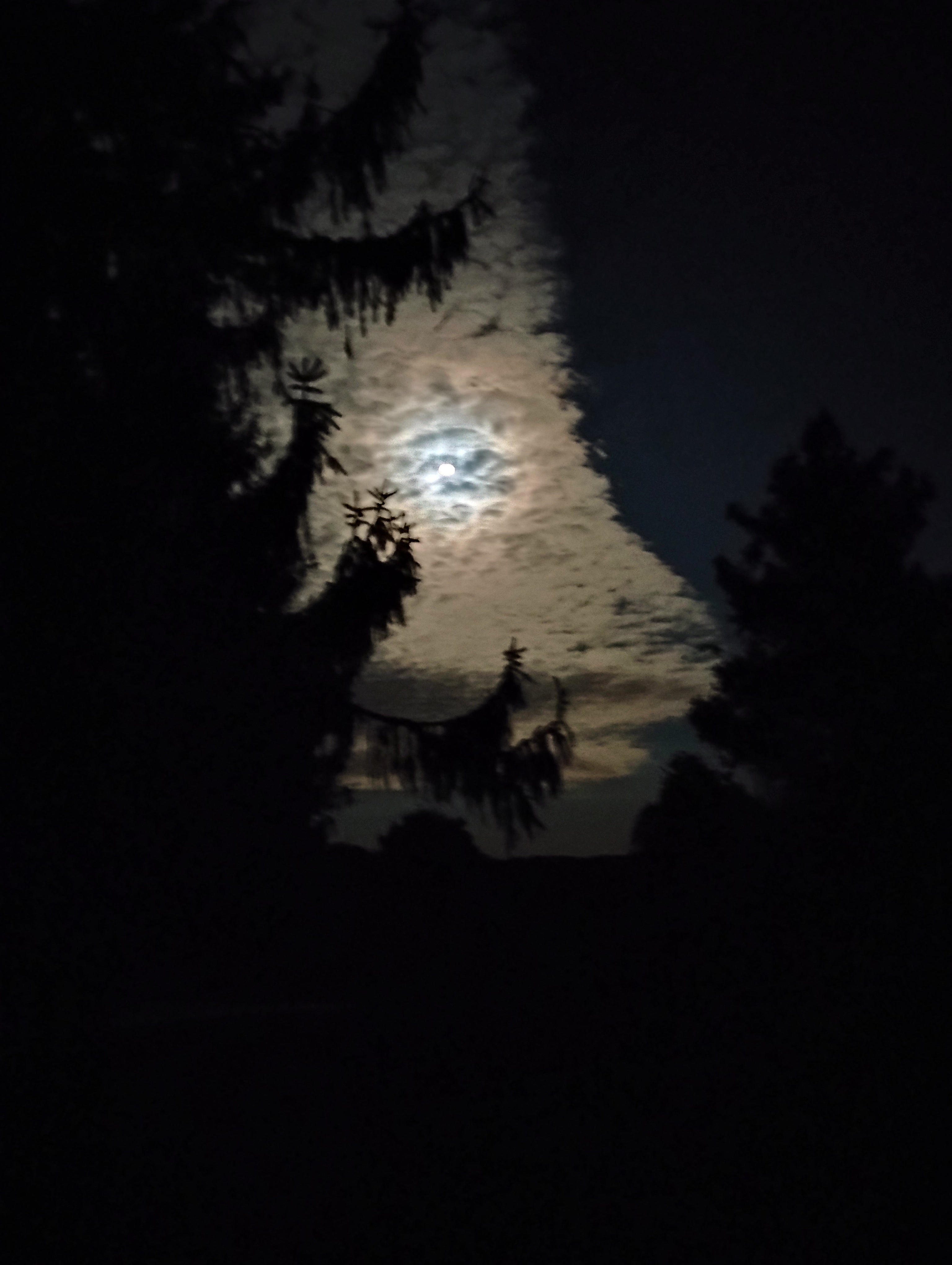 moon