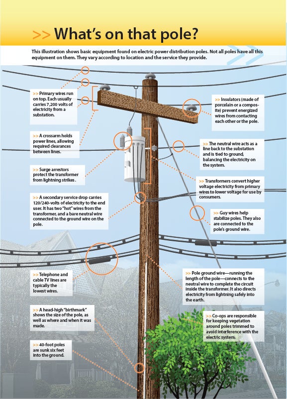 Whats on a pole