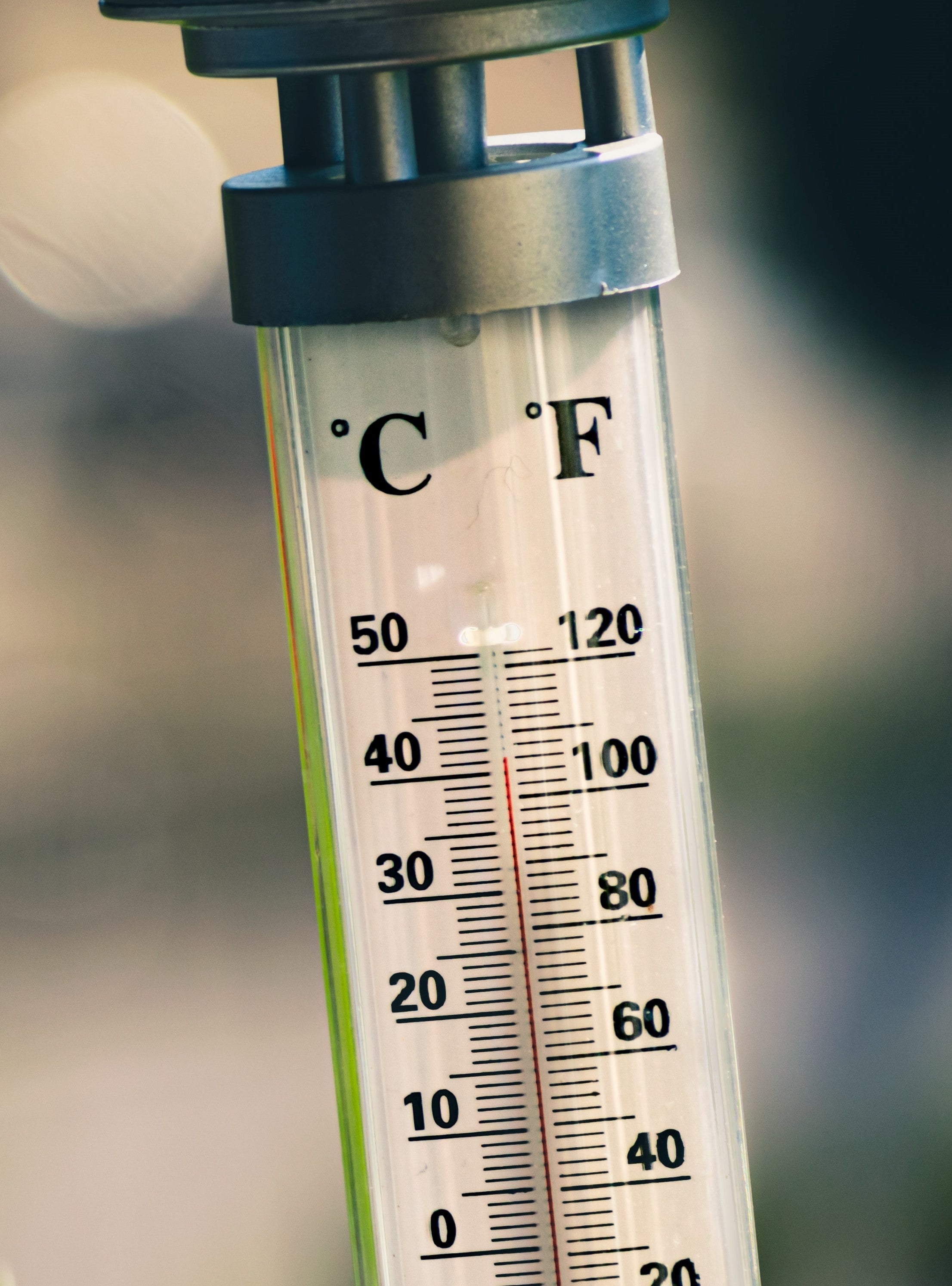 image of thermometer
