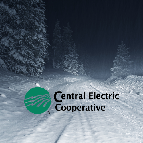 Winter Strom Fern CEC Updates