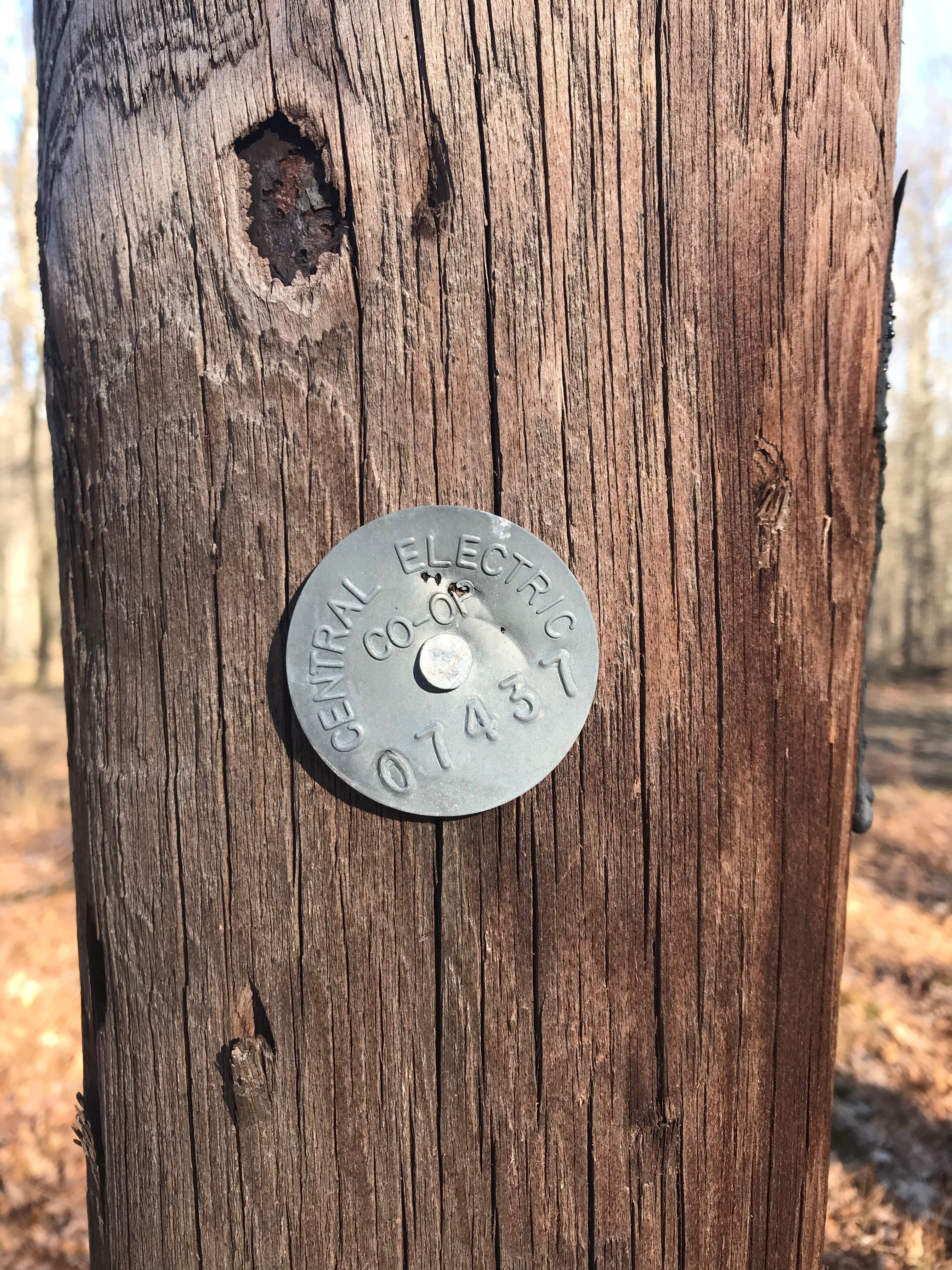 Pole