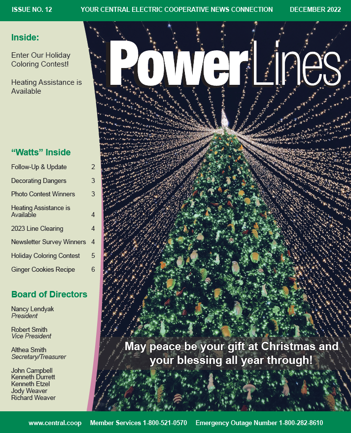 image of cover