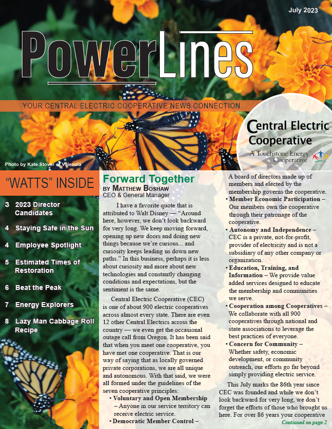 Power Outage Safety  Central Electric Cooperative