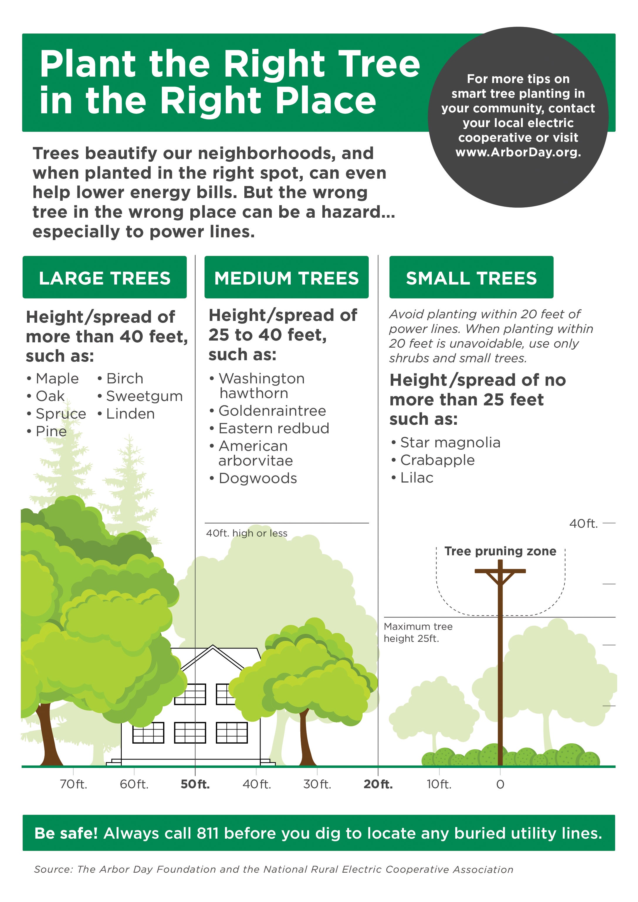 Plant the right tree