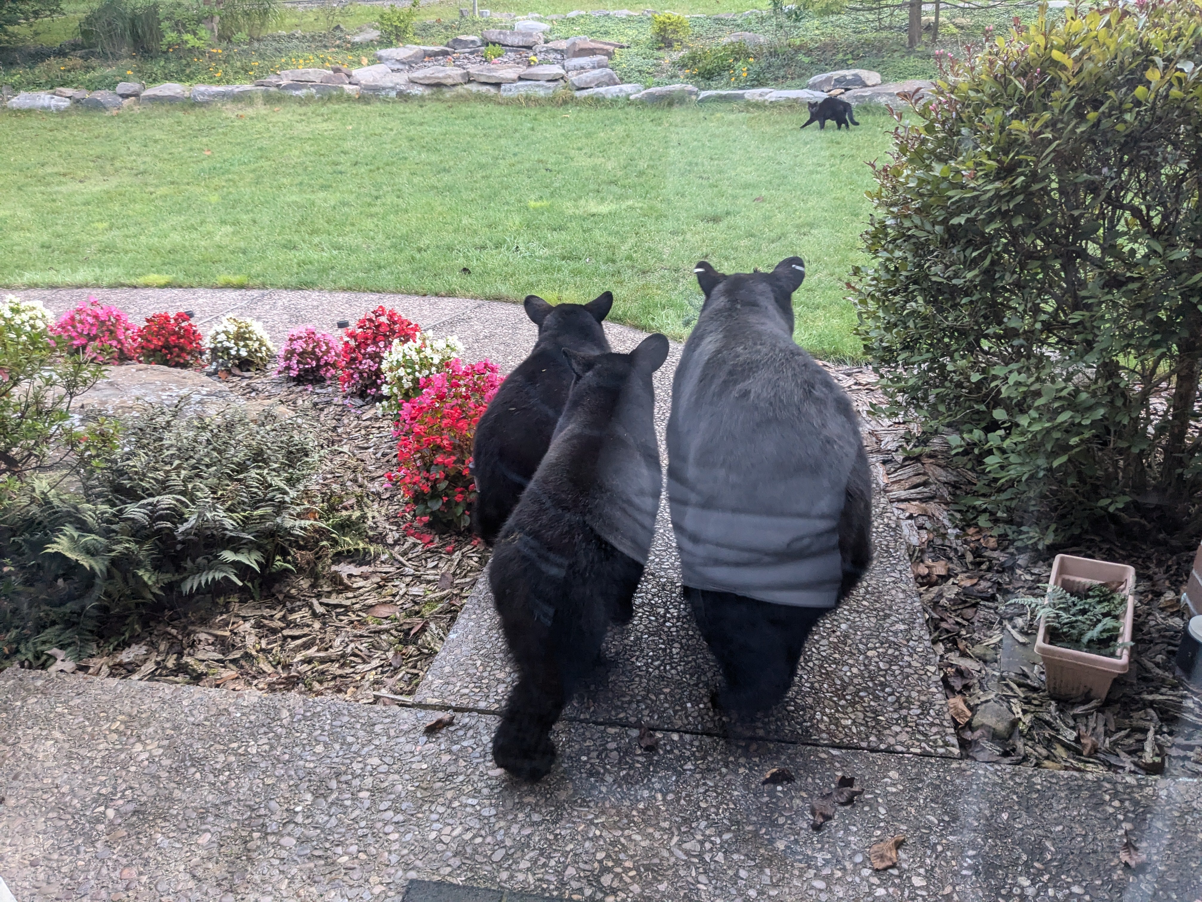 TREATERS