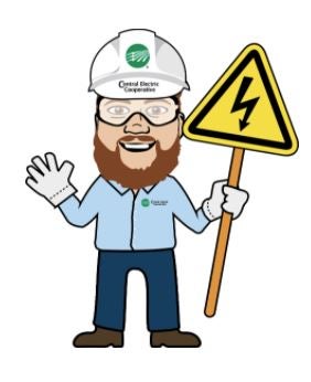 SAFETY LINK